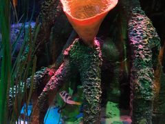 -沈阳海洋探索中心