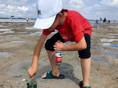 -北海金海湾红树林生态旅游区