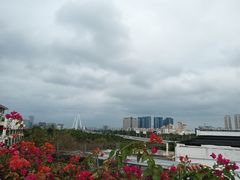 -马大胡子清真西北菜