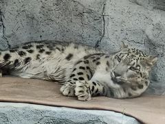 -青藏高原野生动物园