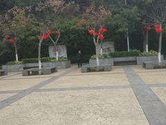 -仙岳公园