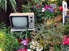 门面-胡桃里乐队酒馆(鎏嘉码头店)