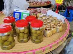 -苏州市吴中区光福窑上花果蜜饯厂