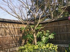 -新荣记(西溪湿地店)