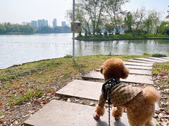 -东湖景区