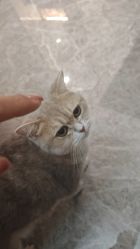 -HEYAN荷妍专业脱毛连锁机构