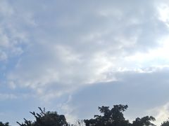 -清湖文化公园