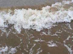 -日照海滨国家森林公园