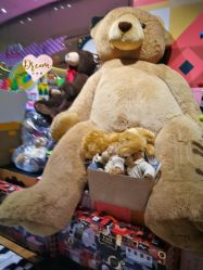 -kidsland(颐堤港店)