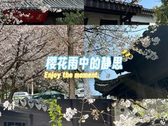 -尚贤河湿地