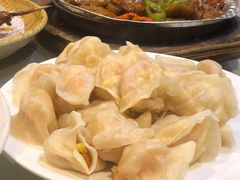 西红柿鸡蛋饺子-新洪记·丽久饭店(铁西店)