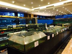 -大东方海鲜酒楼(小武基桥店)
