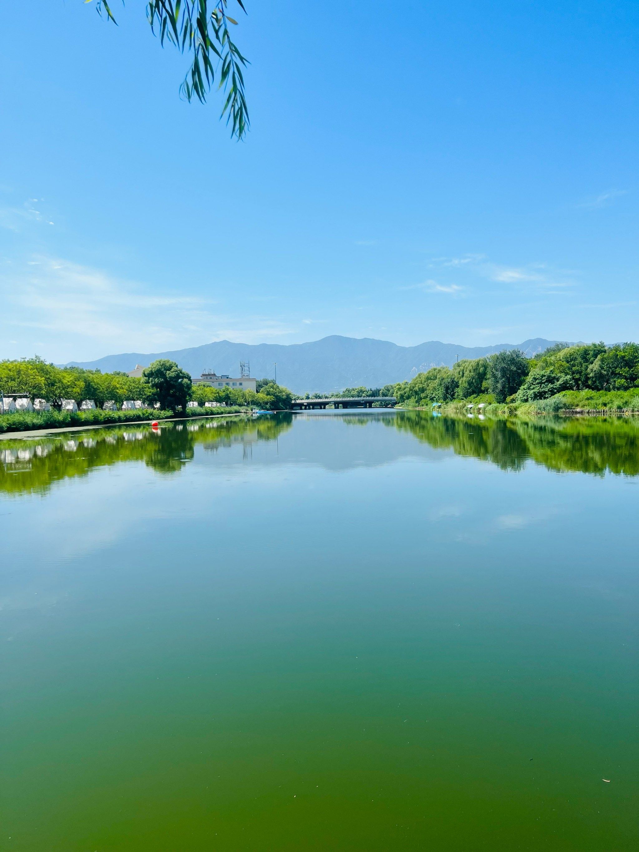 城市公园图鉴|湖光山色美如画