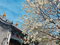 -护国法轮寺