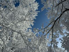 -中旅松花湖滑雪场