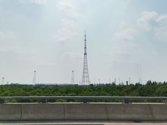 -宠爱国际动物医院·消化内科·心肾内科·ISFM猫友好(望京店)