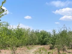 -永定河休闲森林公园