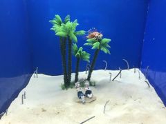 -烟台海昌鲸鲨海洋公园