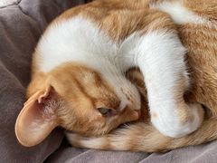 -新荟城(望京店)