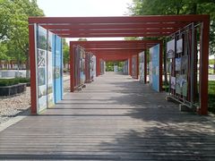 -春花秋色城市公园