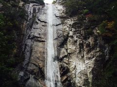 -黑河国家森林公园