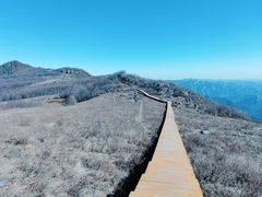 -白草畔自然风景区