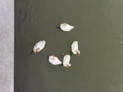 -狼山风景名胜区