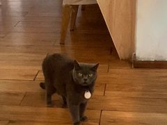 -春笙食堂.丼饭拉面寿司(GOGO新天地店)