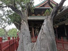 -晋祠公园
