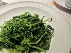 -许家菜(DT51店)