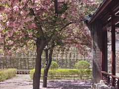 -四门塔风景区