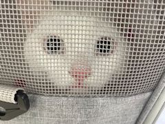 -北京恒爱动物医院(清景园分院)