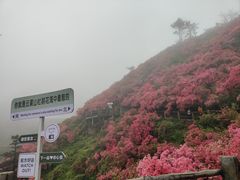 -木兰云雾山