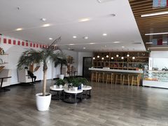 -黄海国家森林公园