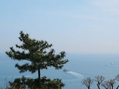 -青岛海滨风景区小鱼山