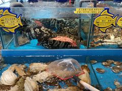 -海铺·渔家虾水饺(皇姑店)