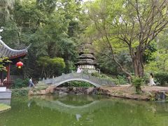 -深圳国际园林花卉博览园