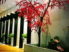-丽池宫韩式汗蒸会馆(华灯坊店)