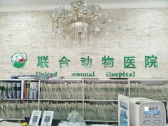 -联合动物医院(光谷诊疗中心)