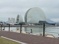 -野狸岛