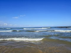 -日照海滨国家森林公园