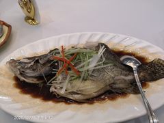 清蒸桂鱼-湖北味道(湖北大厦店)