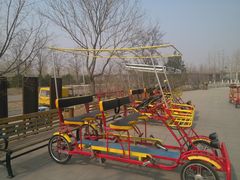 观光自行车-永定河休闲森林公园