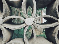 -上海佘山国家森林公园天马山园