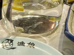 -渔娘渔家丹东海鲜(东直门店)