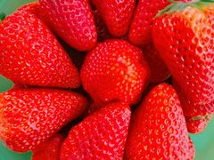 -阿甘锅盔(中关村食宝街店)