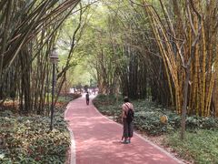 -晓港公园