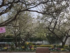 -名花谷生态庄园