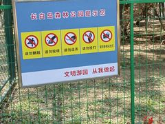 -长白岛森林公园