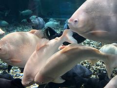 -成都浩海立方海洋公园